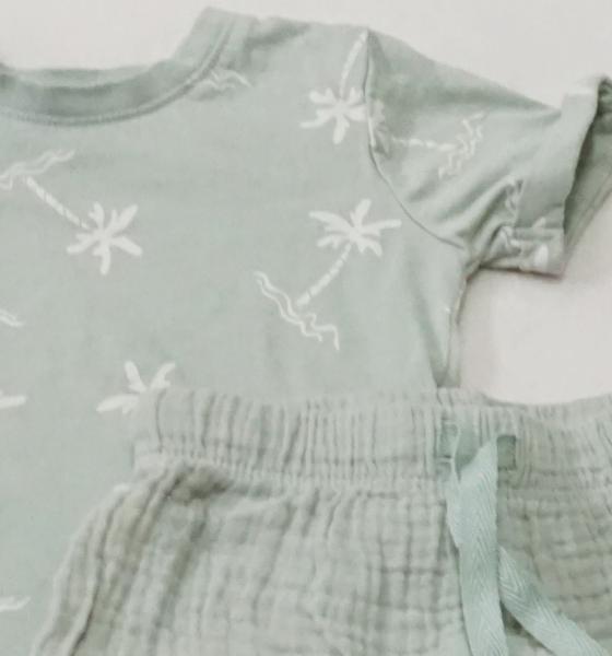 T-Shirt mit kurzer Hose Gr. 80 von Ergee (3979)